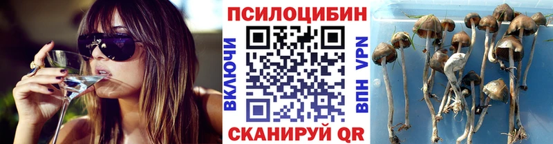 Псилоцибиновые грибы мухоморы  Омутнинск 
