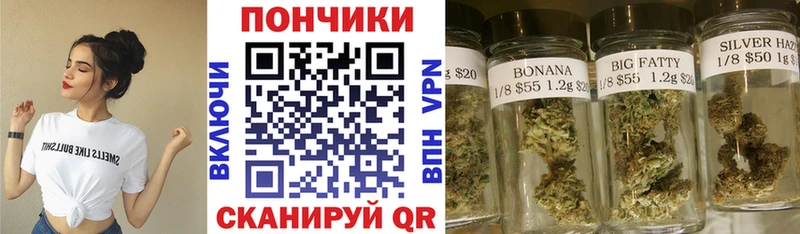 Марихуана OG Kush купить наркотики цена Омутнинск